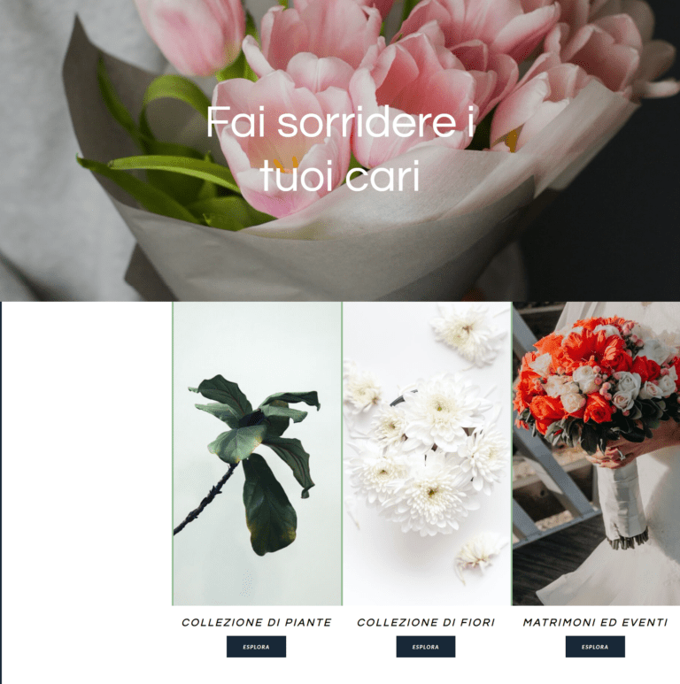 Fiori piante e vivai di alta qualità e prezzi competitivi.